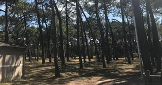 Camping La Gautrelle Camping La Gautrelle