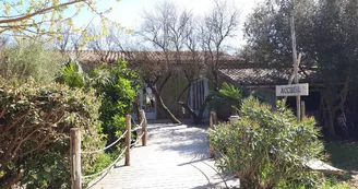 Camping Le Chassiron