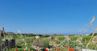 Camping Le Chassiron
