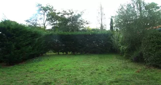 Le Sous-Bois