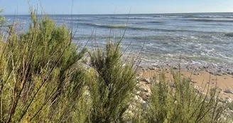 Camping Les Flots-Atlantique