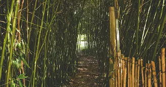 Jardin du Riollet
