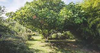 Jardin du Riollet