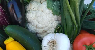 Escale Fermière