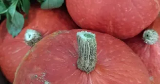 Escale Fermière