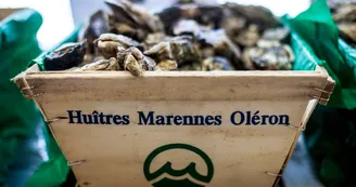 Les Viviers Charentais Les Viviers Charentais