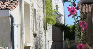 Janicot Didier - Appartement 1 - Maison Guy-Nadette Janicot Didier - Appartement 1 - Maison Guy-Nadette