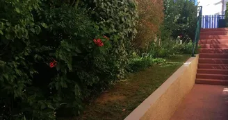 Appartement dans maison - Quartier du Parc - Fournier Anne-Marie