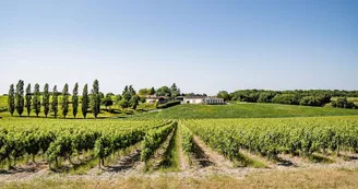 Domaine La Prenellerie Domaine La Prenellerie