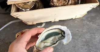 L'Écume 2.0 L'Écume 2.0