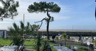 Le Golfy