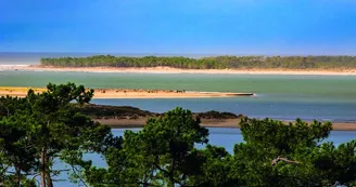 Point de vue - Le Pertuis de Maumusson