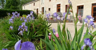 Au Jardin Près de l'Océan