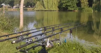 Etang des Rosées