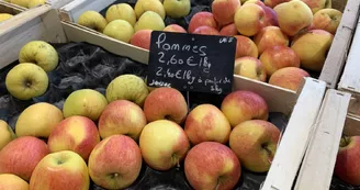 Marché Ozillac