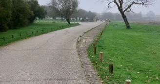 Élevage des Arces