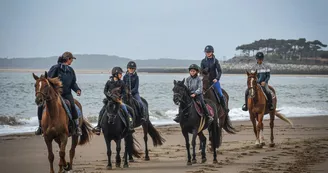 Le Cheval Autrement