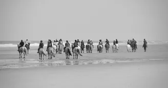 Le Cheval Autrement