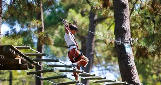 Parc Aventure La Palmyre