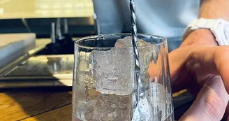 Bar Louise