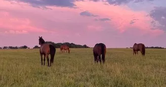 EquiNatur'Eau