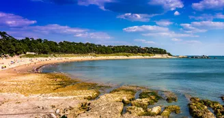 Plage du Platin