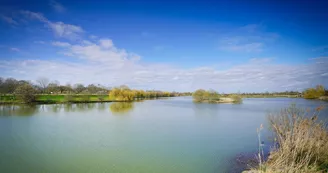 Parcours d'orientation vert - Le Lac de la Lande
