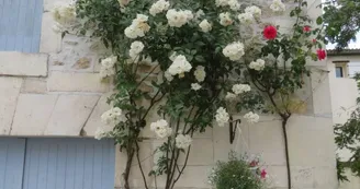 La Maison du Bonheur
