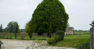 Les gîtes de la Sérénité Les gîtes de la Sérénité