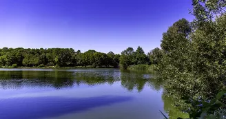 Parc Raymond Vignes