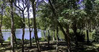 Parc Raymond Vignes