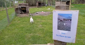 Ferme Pédagogique de La Cressonnière