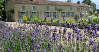 Gîte Les vieilles pierres