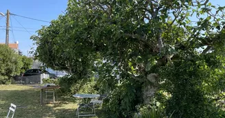 Maison La Tranquille