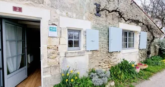 Gîte Fleurs de Vigne