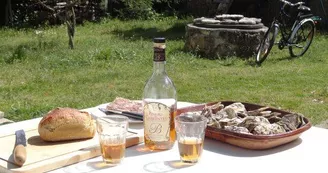 La Cagouille 2