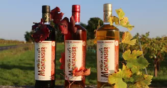 Domaine Montansier