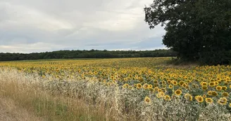 La Caz en Sol - Gite Le Fâ