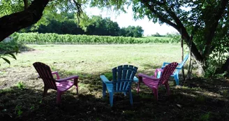 Gîte Cognac et Nature Gîte Cognac et Nature