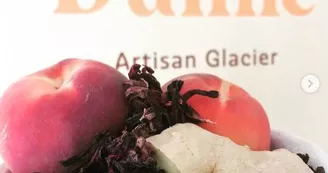 Maison Dunne - Artisan glacier