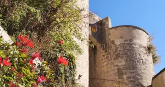 Tours portières Tours portières