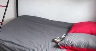 Delage Jean-Pierre