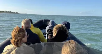 Balade en mer (1h) -  TEX' La Rochelle