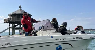 Balade en mer (1h) -  TEX' La Rochelle