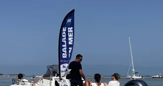 Balade en mer (1h) -  TEX' La Rochelle