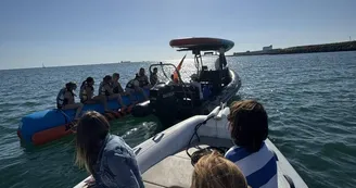Balade en mer (1h) -  TEX' La Rochelle