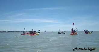 Location de kayak, paddle et paddle géant - Antioche Kayak Location de kayak, paddle et paddle géant - Antioche Kayak