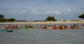Location de kayak, paddle et paddle géant - Antioche Kayak Location de kayak, paddle et paddle géant - Antioche Kayak