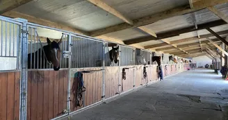 Educ'Horse