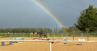 Educ'Horse
